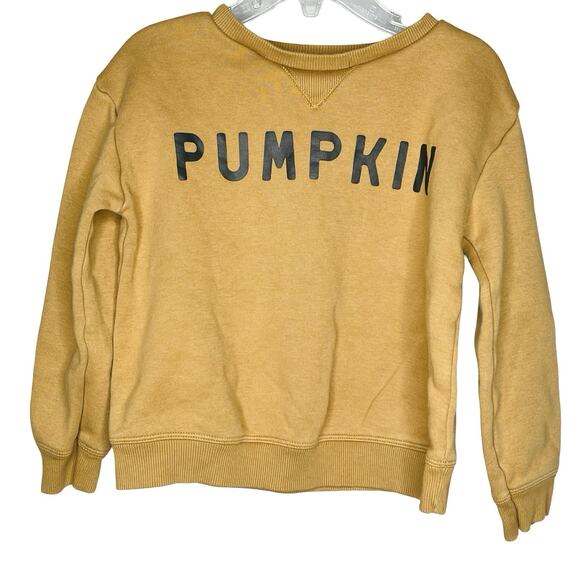 Little Co. LC Pumpkin 4T Fall Graphic Crewneck Sweatshirt Long Sleeve New - Picture 1 of 4